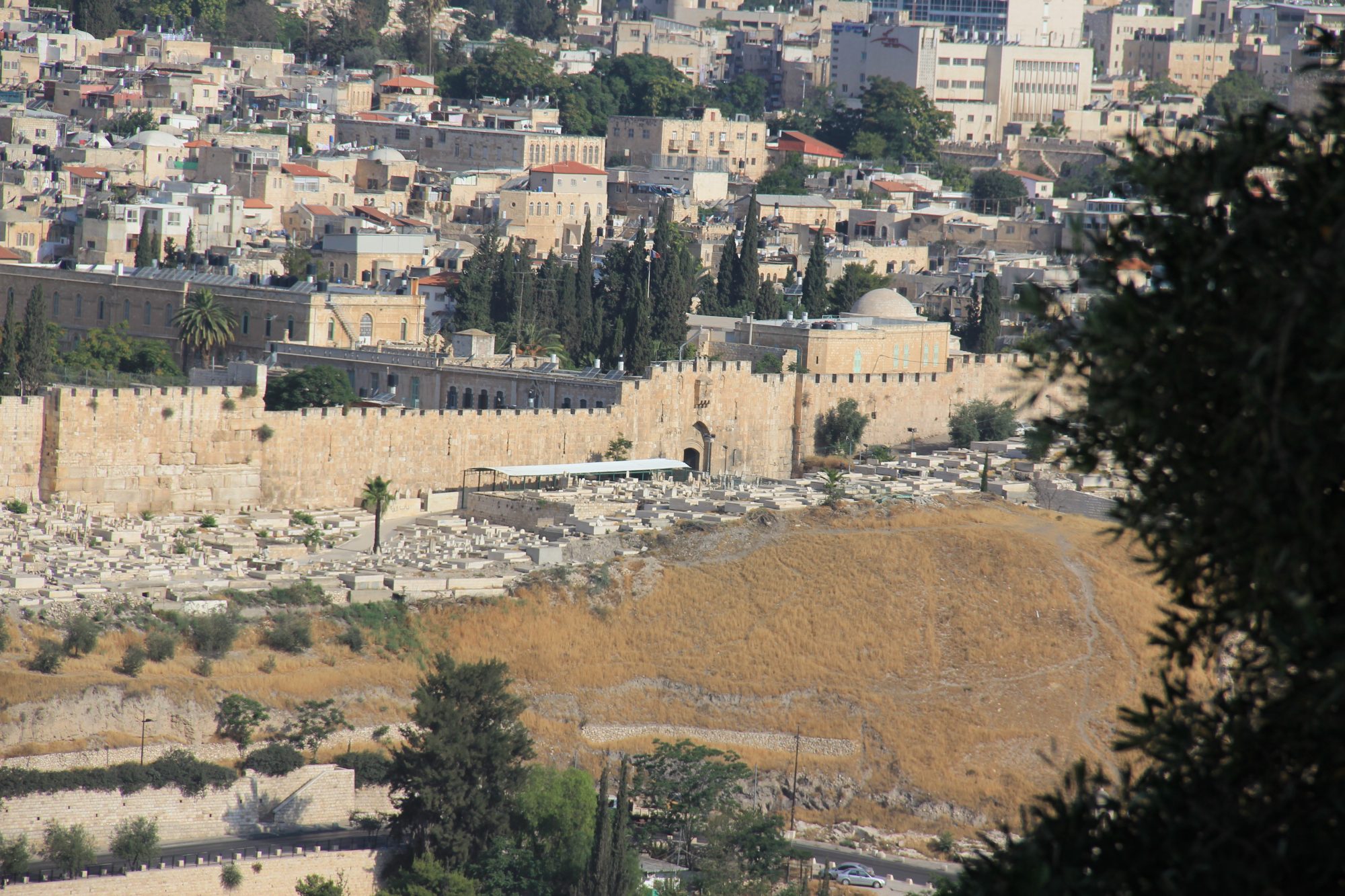 Mount of Olives 1